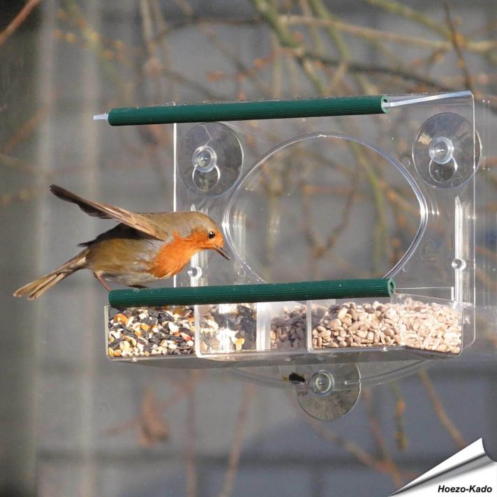 Raamvoederhuisje voor Roodborstjes