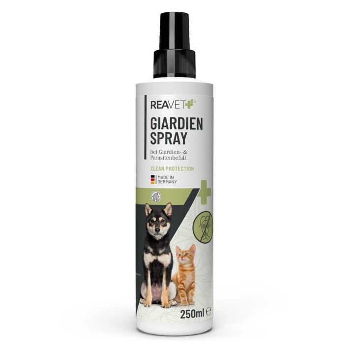 ReaVET Giardiaspray voor huisdieren ✔️ Effectieve spray ter ondersteuning van hygiëne bij Giardia-infecties ✔️ Voor manden en andere oppervlakken ✔️ Koop nu in de Hoezo-Kado Shop