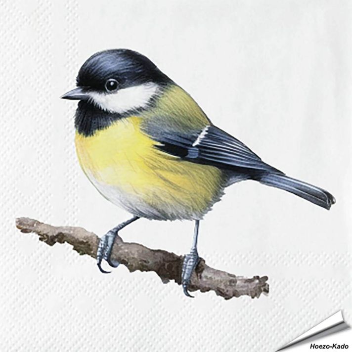 Servetten Koolmees| 20 stuks | FSC & 3-laags | Hoezo-Kado