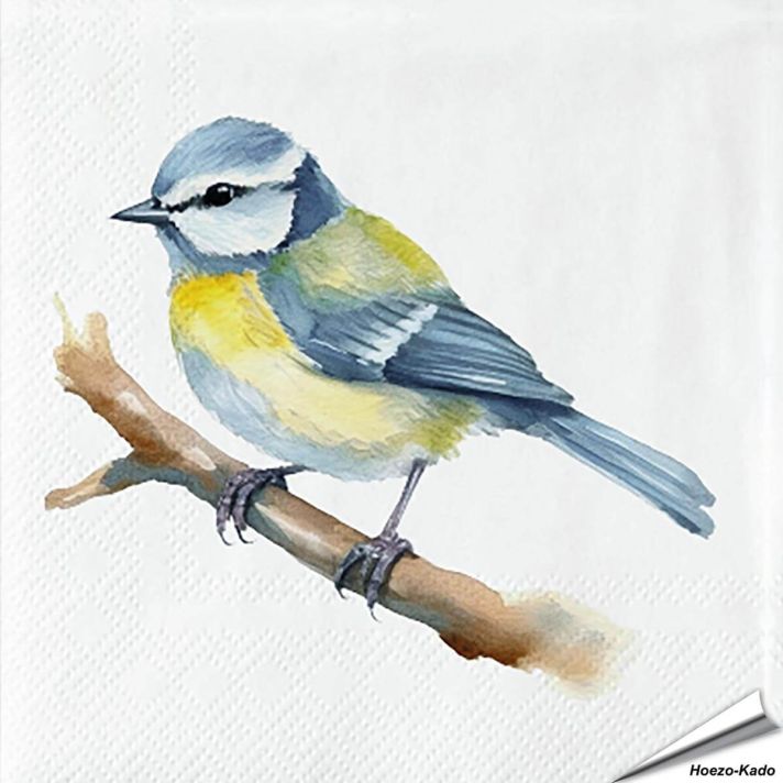 Servetten Pimpelmees| 20 stuks | FSC & 3-laags | Hoezo-Kado