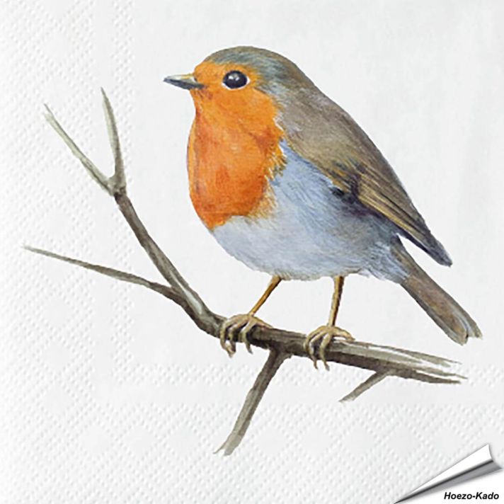 Servetten Roodborst | 20 stuks | FSC & 3-laags | Hoezo-Kado