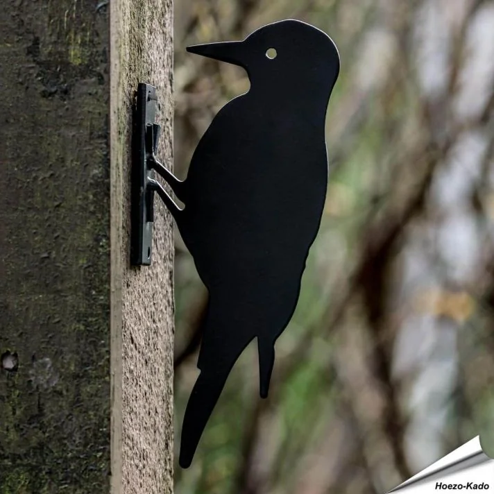 Silhouet - Specht