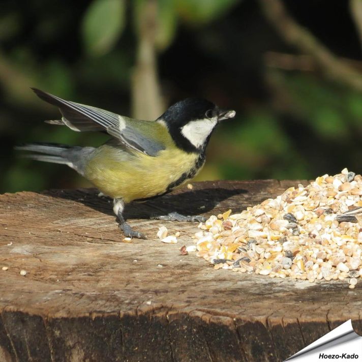 Table Top-Mix met Anijszaad (1 kg)