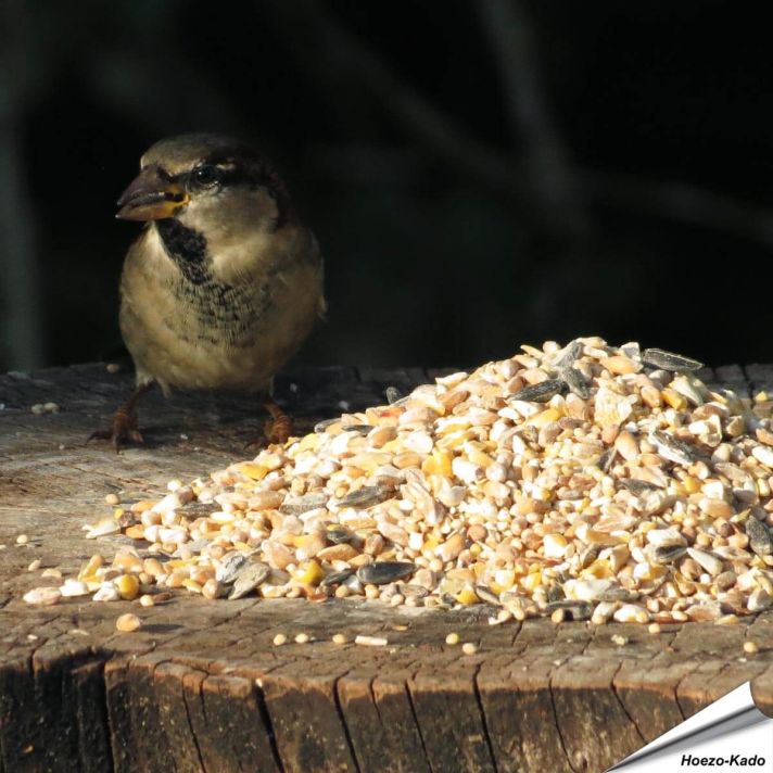 Table Top-Mix met Anijszaad (2.5 kg)