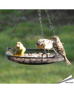 Hangende metaal-voederschaal voor vogels - Bestel op Hoezo-Kado
