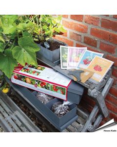 Kinder fruit & groenten plantenbak