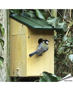 Observatie nestkast San Francisco (34mm)