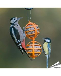 Vrolijke vetbolhouders voor tuinvogels ✔️ Gemaakt van duurzaam kunststof ✔️ Eenvoudig op te hangen & schoon te maken ➤ Bestel nu bij Hoezo-Kado!
