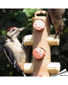 Energierollenpakket - Energierollen - Tuinvogelvoer - Hoezo-Kado