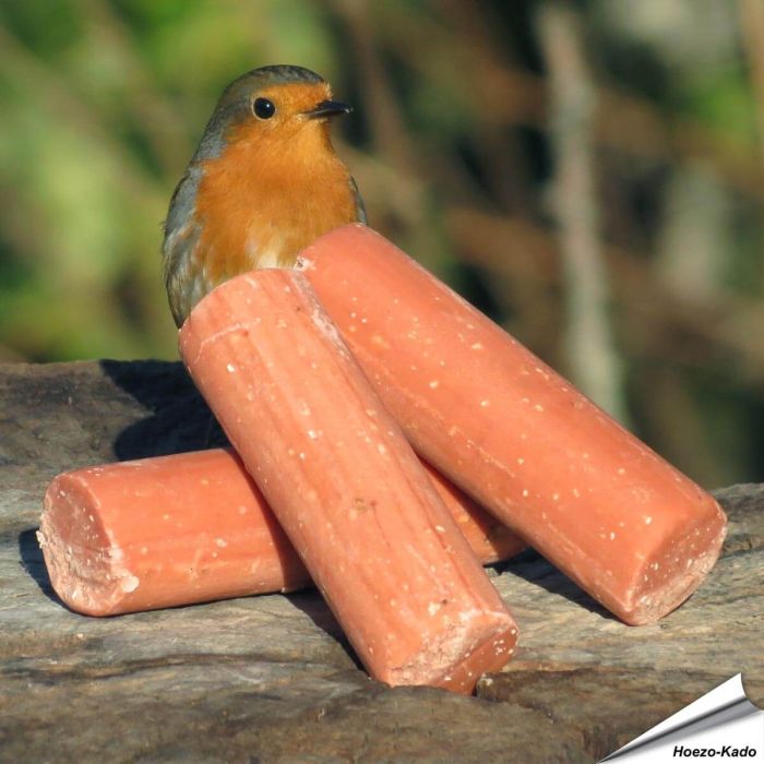 Energierollen met bessen voor tuinvogels ✔️ Eiwit- en energierijk vetvoer ✔️ Het hele jaar door te gebruiken ➤ Bestel jouw vogelvoer bij Hoezo-Kado
