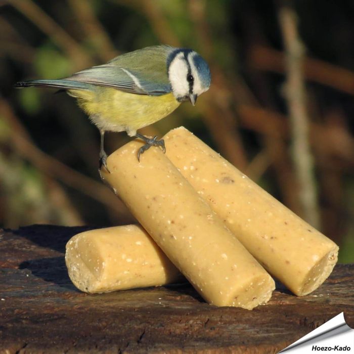 Energierollen met insecten voor wilde vogels ✔️ Eiwit- en energierijk vetvoer ✔️ Het hele jaar door te gebruiken ➤ Bestel jouw vogelvoer bij Hoezo-Kado