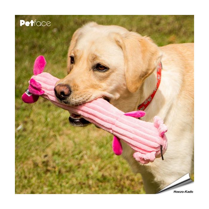 Hondenspeeltje-Farmyard Buddies - Pig Stick