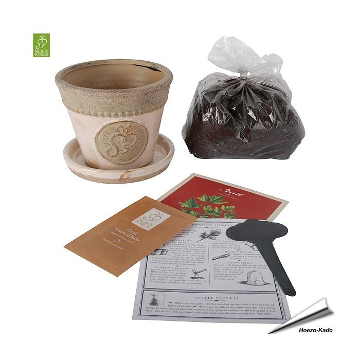 Kweekset - Peterselie