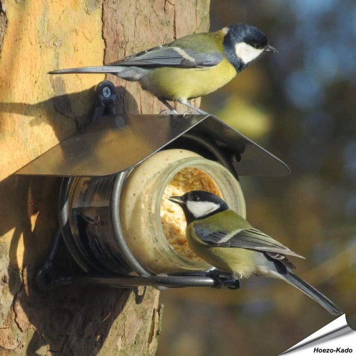 Metaaldraad Pindakaaspothouder voor potjes vogelpindakaas - Hoezo-Kado