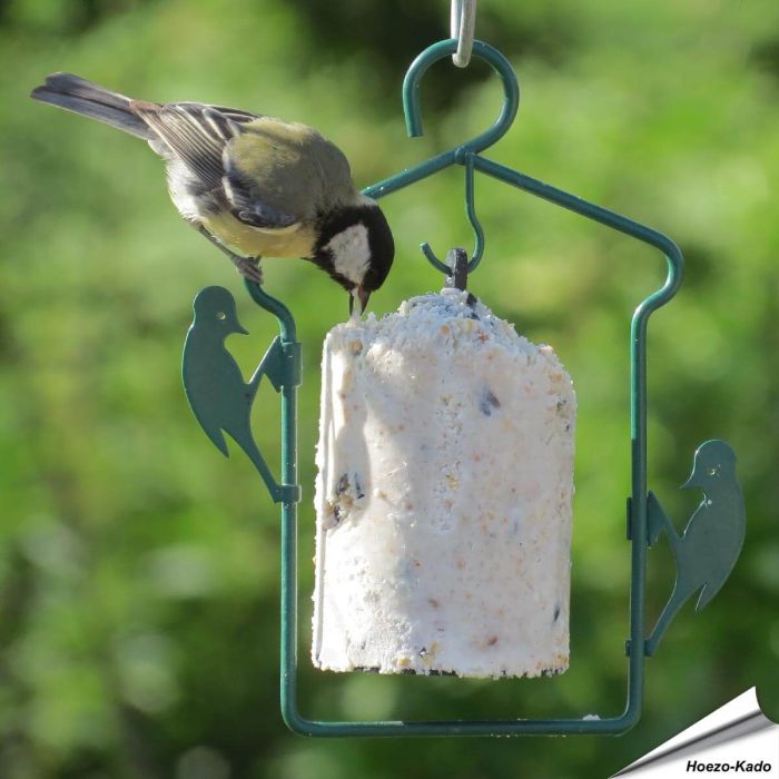 Pindacakehanger voor Vogel-Pindacakes - Hoezo-Kado