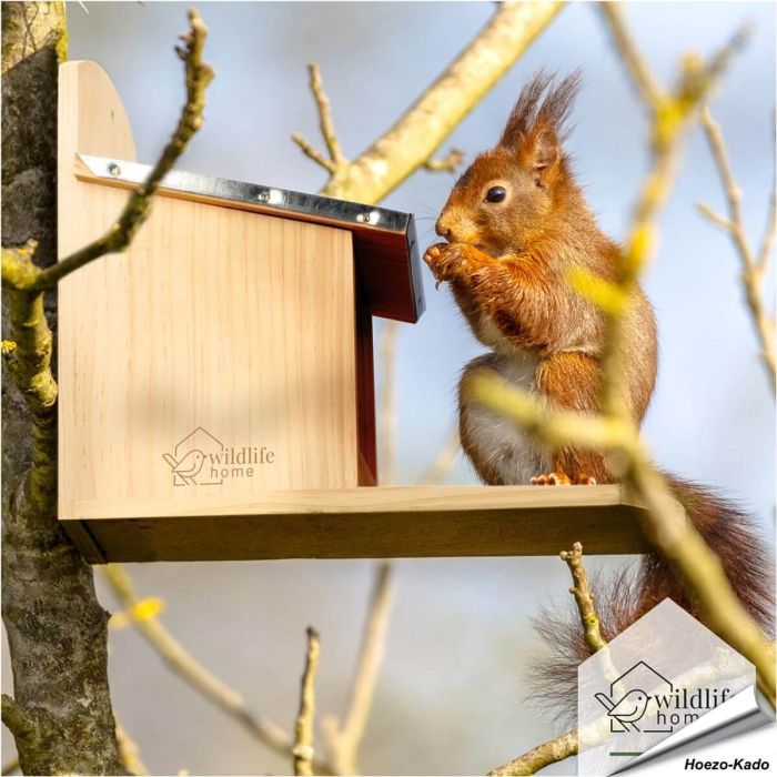 Eekhoorn voederhuis met metalen dak - www.hoezo-kado.nl