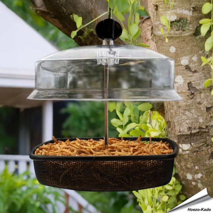 2 Hangend voederhuis voor tuinvogels met dak ✔️ Robuuste metalen constructie ✔️ Stevig, fijnmazig draadgaas ➤ Bestel nu online op Hoezo-Kado