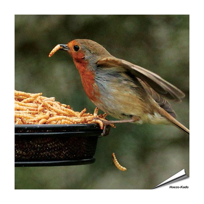 Gedroogde meelwormen