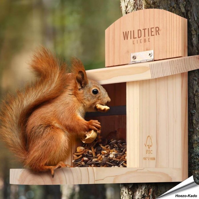 Voederhuis voor eekhoorns | FSC-gecertificeerd hout | Hoezo-Kado