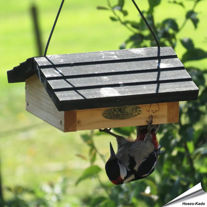 Energieblokhouder met dak ✓ Eenvoudige toegang tot voer voor behendige vogels zoals spechten, mezen, boomklevers en sijzen ✓ Stevige houtconstructie ✓ Hoezo-Kado