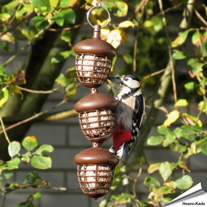 Vetbollenautomaat Acorn (3 vetbollen) | Voor tuinvogels | Hoezo-Kado