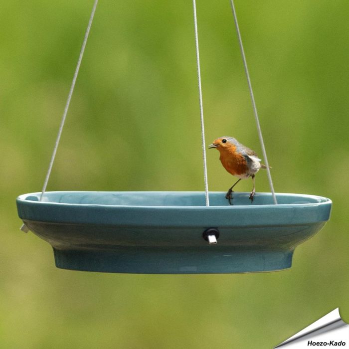 Hangende waterschaal voor vogels (blauw)