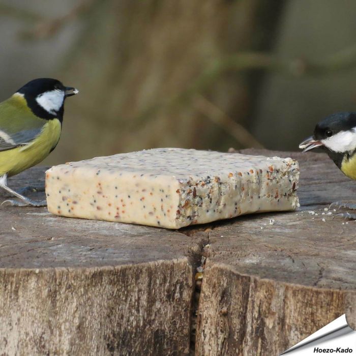Energieblok / Vetblok met Insecten voor vogels (320g)