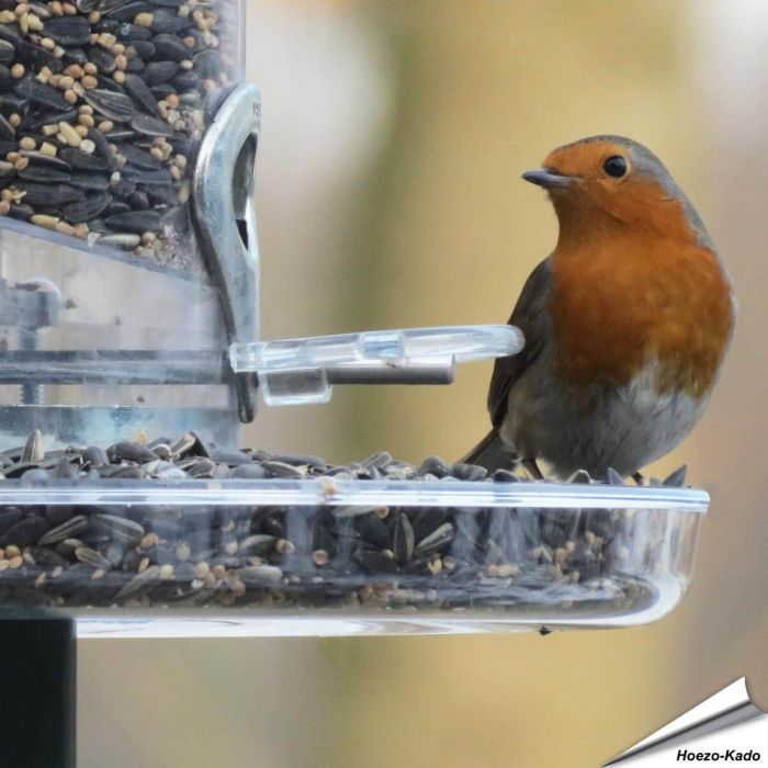 Opvangschaal voor voedersilo's (210mm)