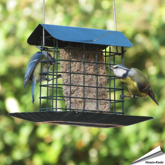 Premium vetblokhouder met regenkap en opvangschaal