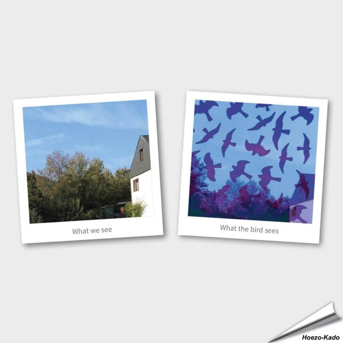 Birdstickers - Bescherm vogels tegen glas | Eenvoudig & duurzaam | Hoezo-Kado