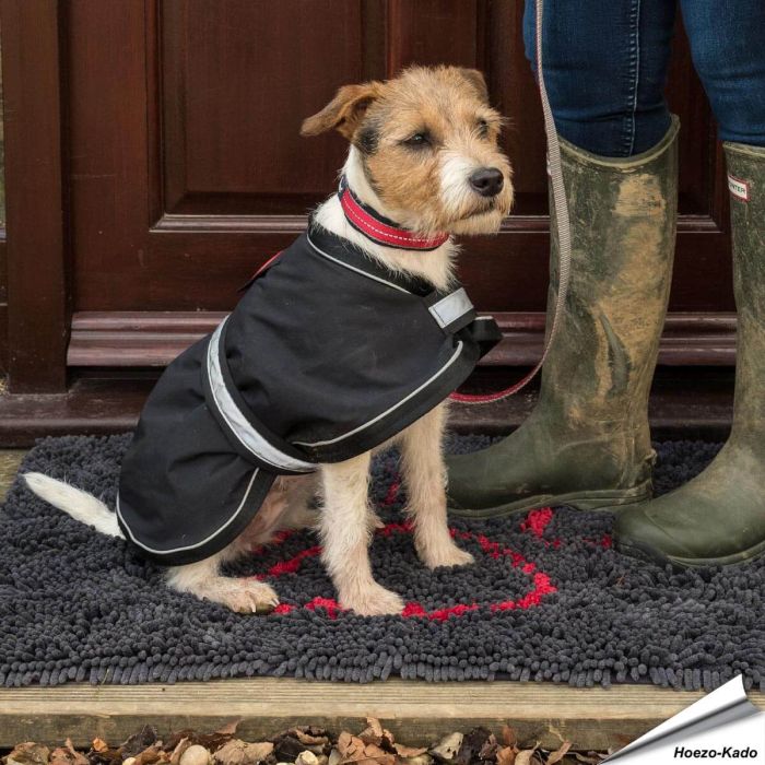 Clean & Dry Microvezel Mat - (80 x 55cm)