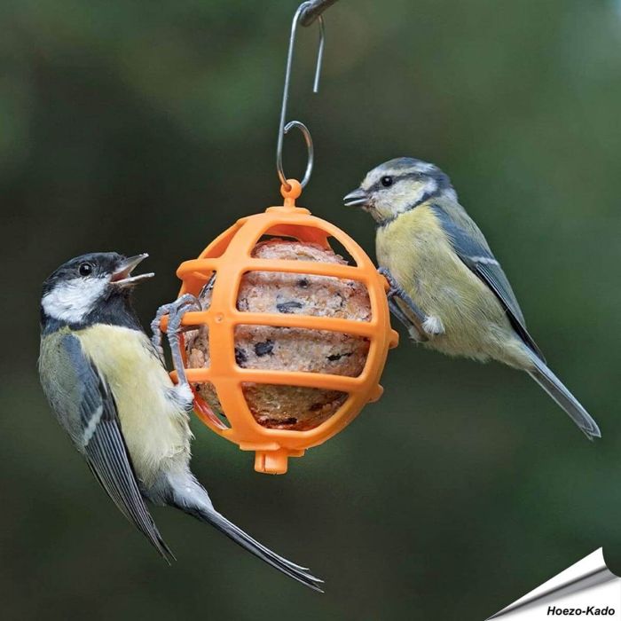Vrolijke vetbolhouder voor tuinvogels ✔️ Gemaakt van duurzaam kunststof ✔️ Eenvoudig op te hangen & schoon te maken ➤ Bestel nu bij Hoezo-Kado!