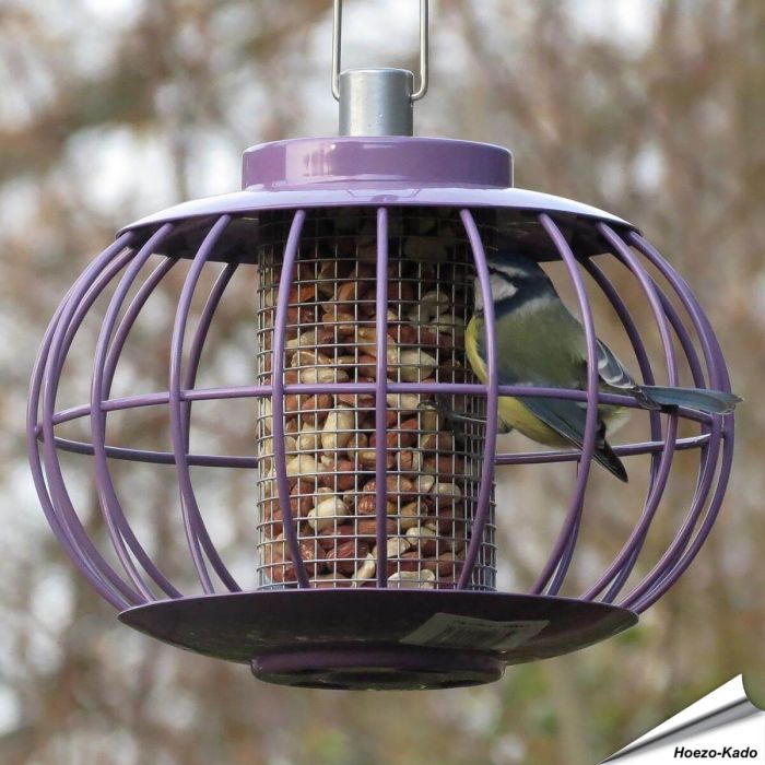 Pindasilolantaarn met beschermkooi | aubergine | Hoezo-Kado