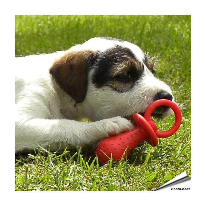 Little Petface - Kauwspeeltjes Set voor puppies (4 stuks)