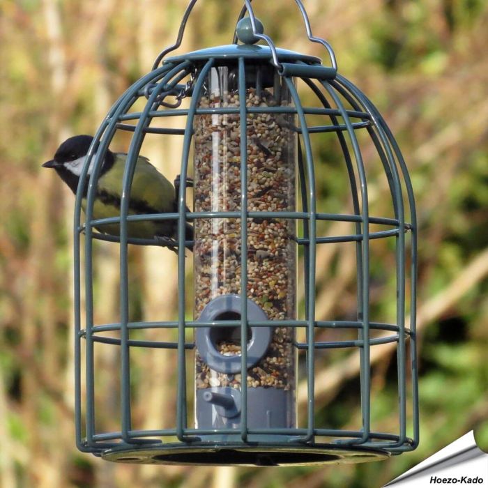 Voedersilo Compact voor zaden met beschermkooi | zeegroen | Hoezo-Kado