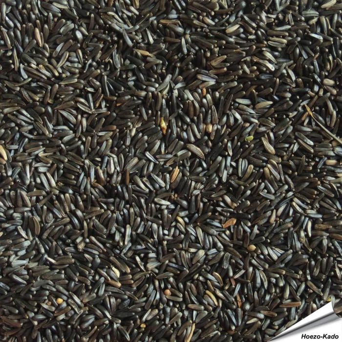 Nigerzaad (Negerzaad, Nyjer) voor vogels ✔️ Voor tuinvogels, exotische vogels, parkieten en kanaries ✔️ Natuurlijke bron van eiwitten en vetten ✔️ Bestel nu direct op www.hoezo-kado.nl