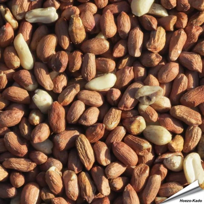 Premium pinda's voor tuinvogels - www.hoezo-kado.nl