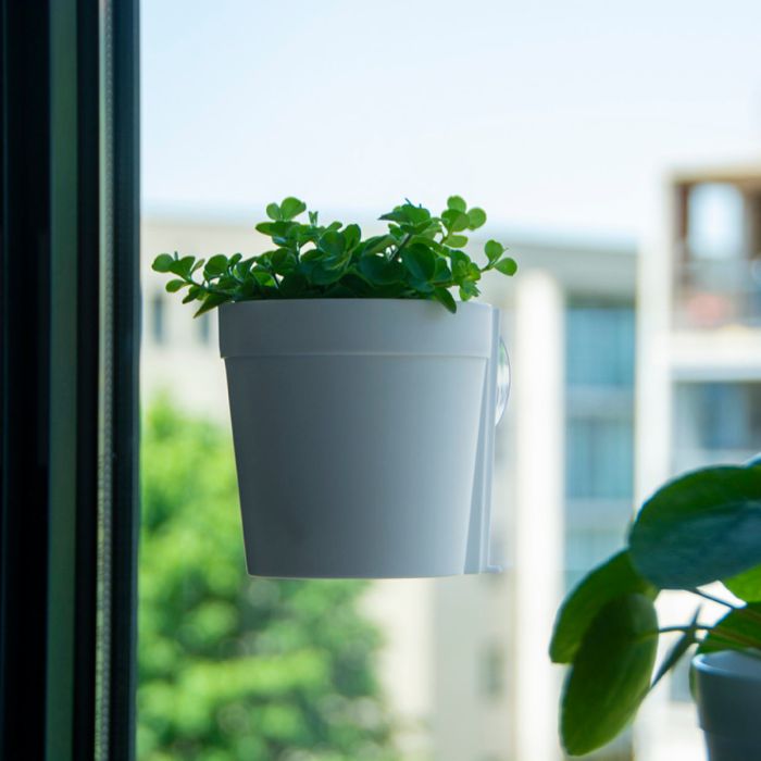 Raambloempot (S) - Wit