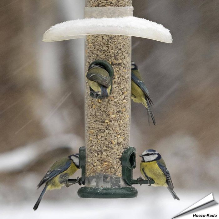 RainAway - Regenkap voor voedersilo's