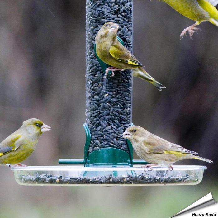 Ring-Pull - MINI Opvangschaal voor voedersilo's (215mm)