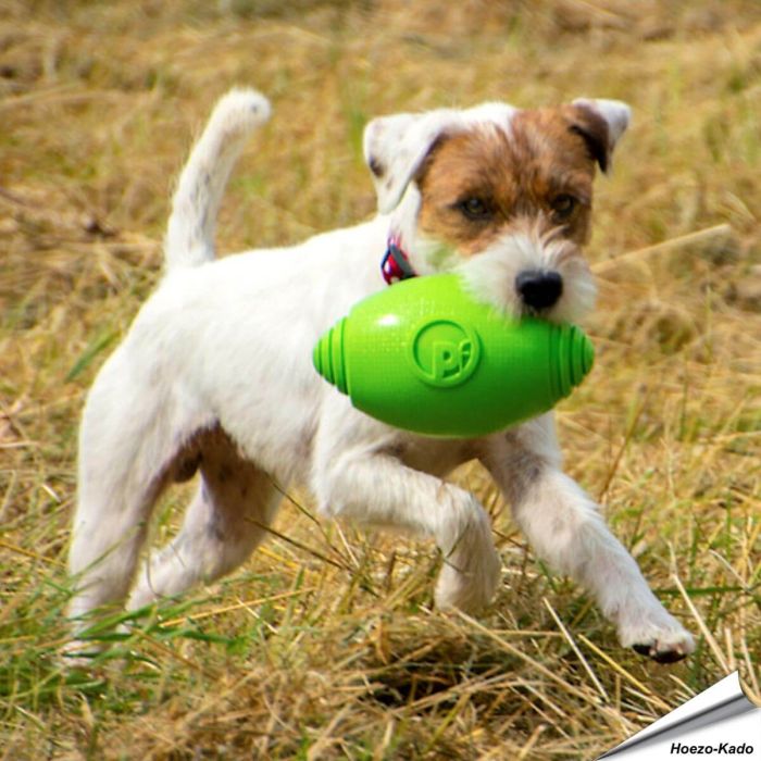 toyz - Rugby Ball - groot (groen)