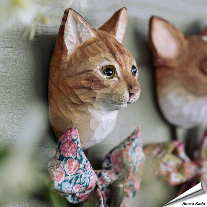 Kledinghaak - Rode Kat