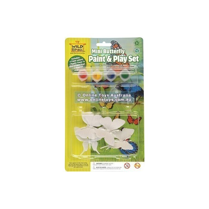 Verf & Speelset - Mini Vlinders
