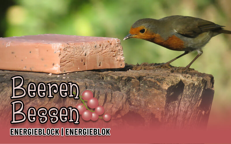Energieblok met bessen van Aniculis