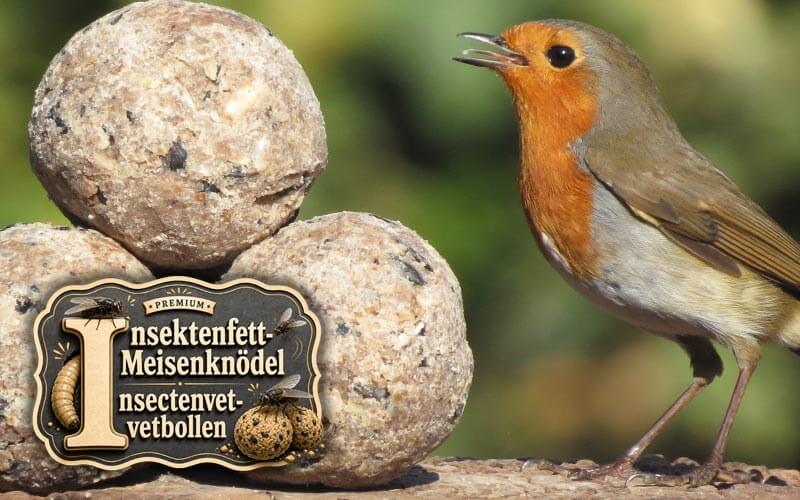 Premium vetbollen met insectenvet voor tuinvogels - Aniculis