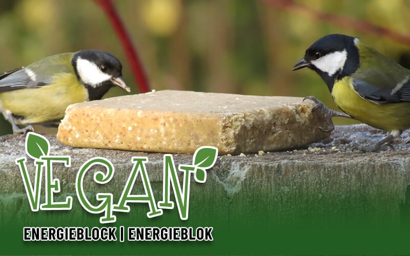VEGAN Energieblok met pinda's van Aniculis