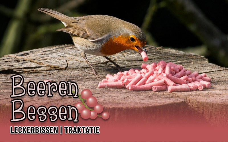 Aniculis Vet-traktatie met bessen - Bestel nu Aniculis Vet-traktatie met bessen - Bestel nu