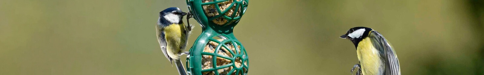 BasketBall mezenbollenhouders - Met deze aantrekkelijke prijs, waarom niet op een aantal ramen? BasketBall mezenbollenhouders - Met deze aantrekkelijke prijs, waarom niet op een aantal ramen?