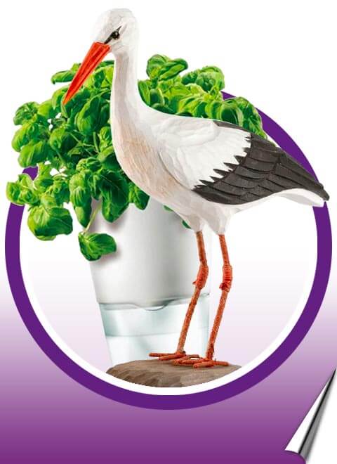 Van gezellige kaarsen tot stijlvolle woondecoratie - hier vind je alles om je interieur compleet te maken! Van gezellige kaarsen tot stijlvolle woondecoratie - hier vind je alles om je interieur compleet te maken!