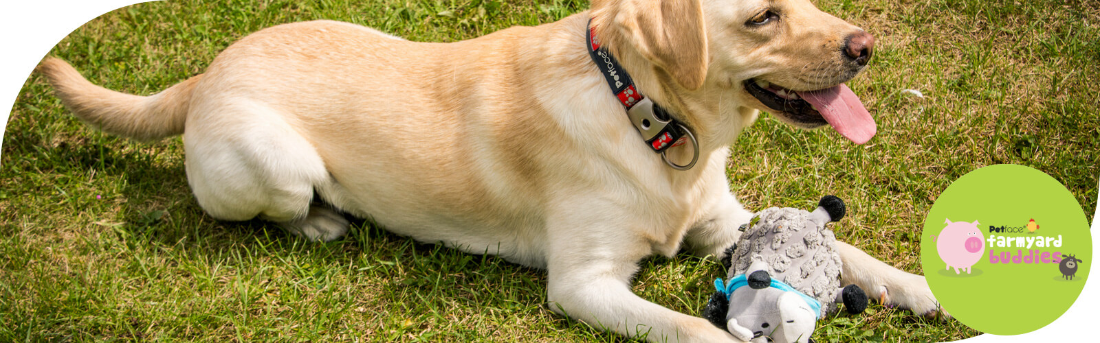 Farmyard Buddies - Hondenspeeltjes Farmyard Buddies - Speelgoed voor honden